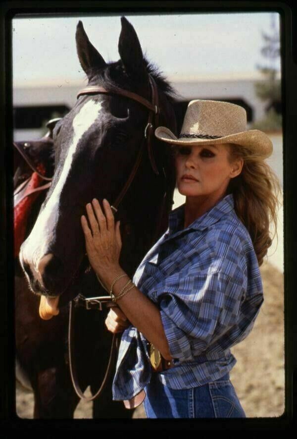 Ursula Andress Posing By Horse 1970's Photographer Stamped Original Transparency