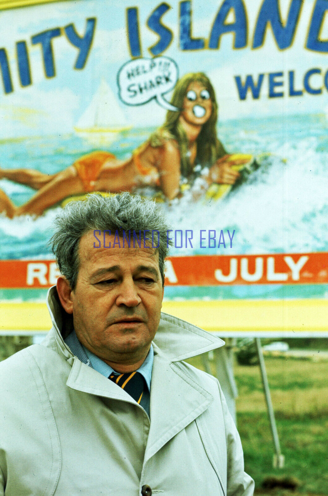 Jaws Great Photo Of Murray Hamilton As Mayor Vaughn